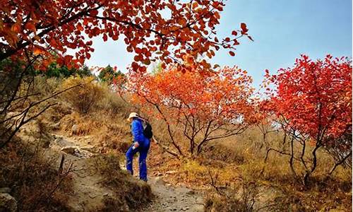 西山森林公园到八大处徒步路线_西山森林公园到八大处徒步路线多少公里