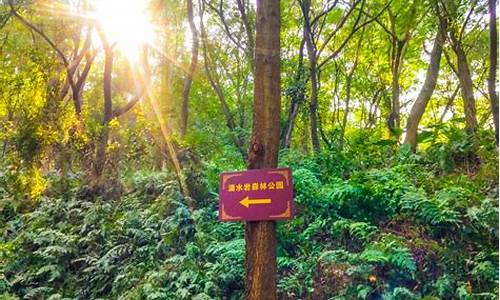 广州番禺滴水岩森林公园附近景观推荐_广州番禺滴水岩景区门票