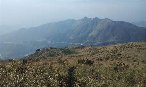 漳州大芹山_漳州大芹山需要门票