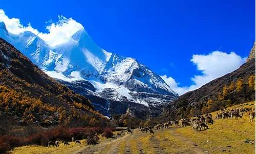 稻城亚丁旅游线路攻略_稻城亚丁旅游攻略及费用多少钱