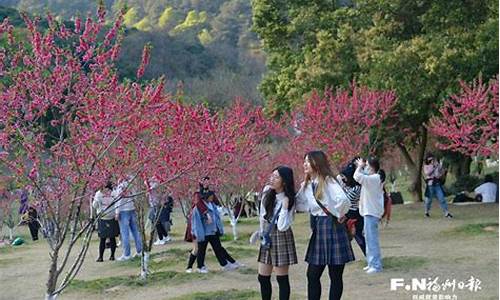 福州森林公园桃花开放时间最新_福州森林公园桃花开放时间