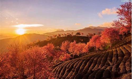 一月份适合旅游的地方_一月适合旅行的地方