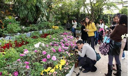 华南植物园旅游攻略_华南植物园旅游攻略一日游