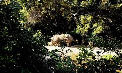 动植物公园地址_长春市动植物公园地址