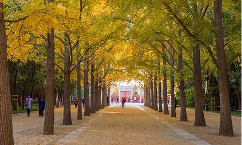 北京地坛公园相亲会时间_北京地坛公园相亲会时间表