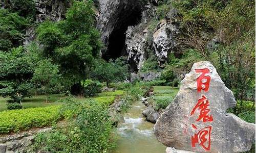 巴马旅游景点介绍门票_巴马旅游景点介绍门票图片