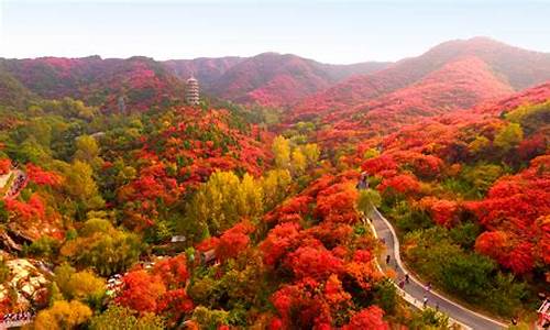 山东旅游景点红叶谷_山东旅游景点红叶谷图片