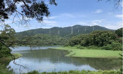 天竺山森林公园票价_天竺山森林公园票价多少