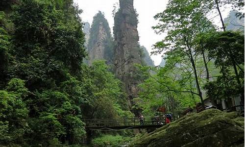 武汉到张家界旅游攻略三日游_武汉到张家界旅游攻略三日游路线