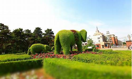 长春动植物公园门票多少钱学生证_长春动植物公园门票多少钱学生证没在手怎么办