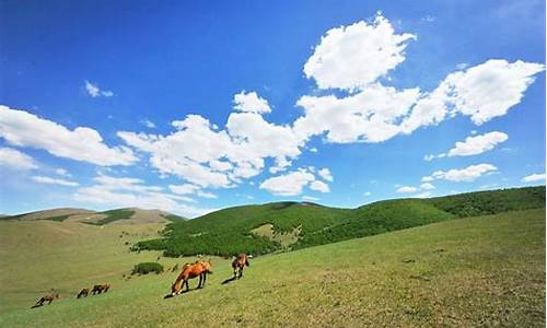 丰宁坝上草原旅游攻略去坝上草原怎么玩好_丰宁坝上草原旅游攻略,去坝上草原怎么玩