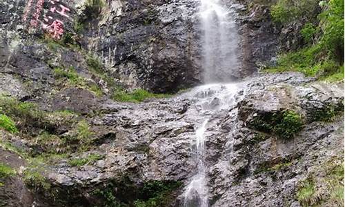 江西三百山旅游攻略_江西三百山旅游攻略一日游