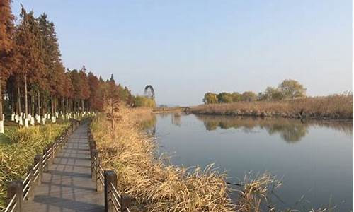 太湖湿地公园年票_太湖湿地公园年票多少钱